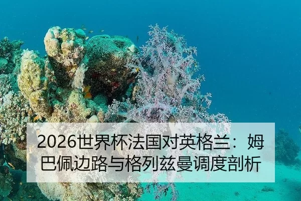 shi-jie-bei-fa-guo-dui-ying-ge-lan-mu-ba-pei-bian-lu-yu-ge-lie-zi-man-diao-du-pou-xi-2-321.jpg